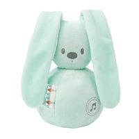 Игрушка мягкая Nattou Musical Soft toy Lapidou Кролик mint музыкальная 878791